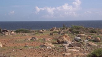 Photo of rocks, cactus and blue sea on Aruba's north shore