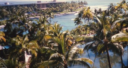 View of hotel grounds; lots of palm trees