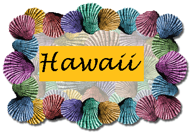 Banner made of colorful seashells